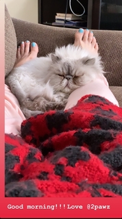 Nattie Neidhart feet photo thumbnail