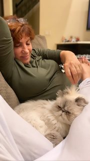 Nattie Neidhart feet photo thumbnail