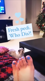 Nattie Neidhart feet photo thumbnail