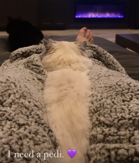 Nattie Neidhart feet photo thumbnail