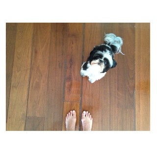 Natália Lage feet photo 3