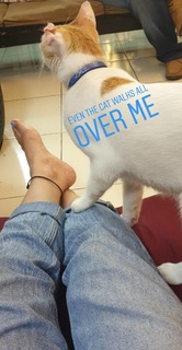 Nauheed Cyrusi feet photo 5
