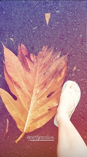 Nauheed Cyrusi feet photo 14