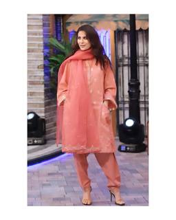 Nausheen Shah feet photo 20