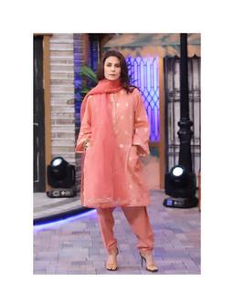 Nausheen Shah feet photo 19