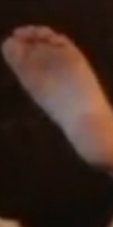 Nawal Al Zoghbi feet photo 17