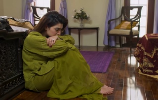 Nawal Saeed feet photo 16