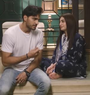 Nawal Saeed feet photo 17