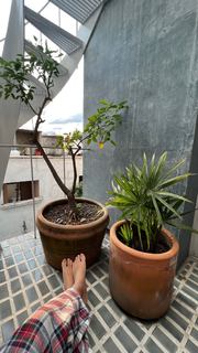 Naz Perez feet photo 14