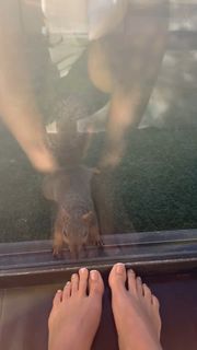 Naz Perez feet photo 18