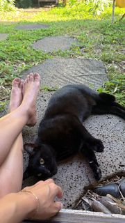 Naz Perez feet photo 17