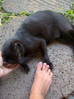 Naz Perez feet photo 10