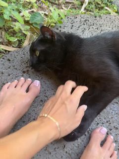 Naz Perez feet photo 9