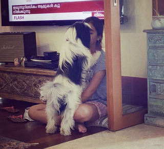 Nazriya Nazim feet photo thumbnail