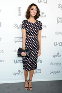 Necar Zadegan feet photo 5