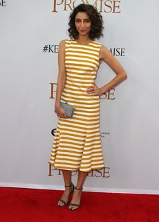 Necar Zadegan feet photo 14
