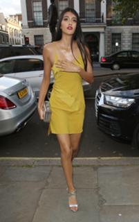 Neelam Gill feet photo 14