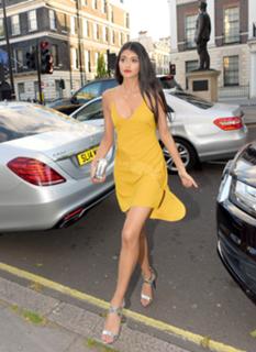 Neelam Gill feet photo 13