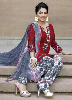 Neeru Bajwa feet photo thumbnail