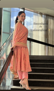 Neeru Bajwa feet photo thumbnail