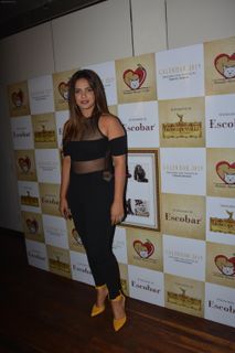 Neetu Chandra feet photo 2