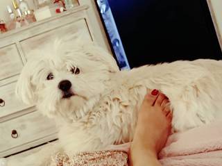 Neha Bhasin feet photo 3
