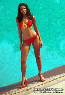 Neha Dhupia feet photo thumbnail