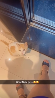 Neha Malik feet photo thumbnail