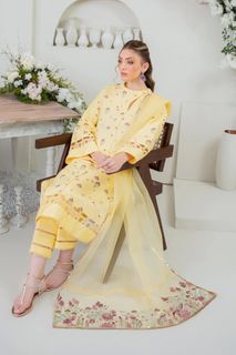 Neha Rajpoot feet photo 3