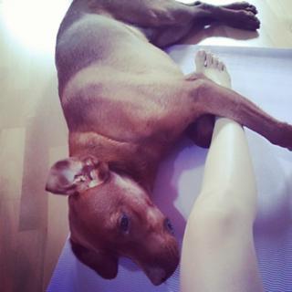 Nela Panghy-Lee feet photo thumbnail