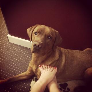 Nela Panghy-Lee feet photo thumbnail