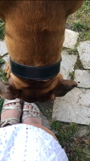 Nela Panghy-Lee feet photo thumbnail