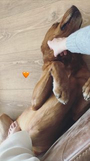 Nela Panghy-Lee feet photo thumbnail