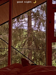 Nela Panghy-Lee feet photo thumbnail