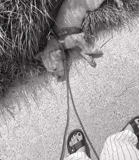 Nela Panghy-Lee feet photo thumbnail