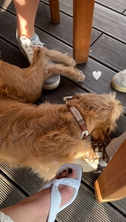 Nela Panghy-Lee feet photo thumbnail