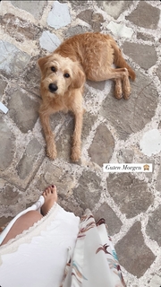 Nela Panghy-Lee feet photo thumbnail