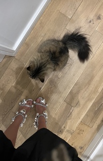 Nellie Eden feet photo 13