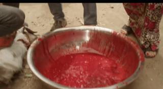 Nelly Karim feet photo thumbnail