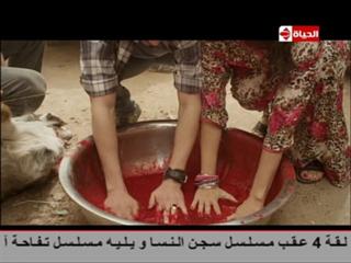 Nelly Karim feet photo thumbnail