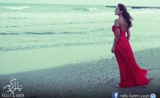 Nelly Karim feet photo thumbnail