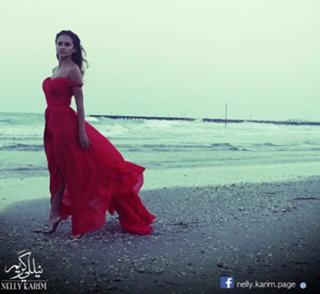 Nelly Karim feet photo thumbnail