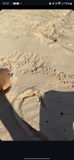 Nesrin Cavadzade feet photo thumbnail