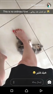 Nesrine Tafesh feet photo thumbnail