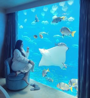 Nesrine Tafesh feet photo thumbnail