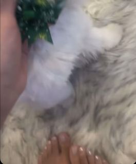 Nessa Barrett feet photo 14