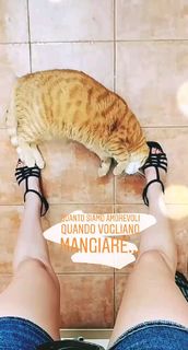 Neva Leoni feet photo 17