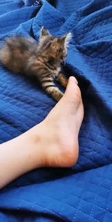 Neva Leoni feet photo 16