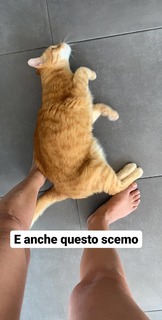 Neva Leoni feet photo 15