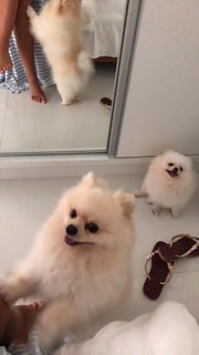 Nicole Bahls feet photo thumbnail